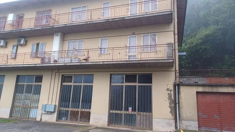Photo of the lot 2