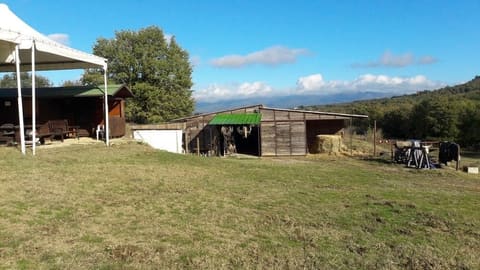 Foto del lotto 2