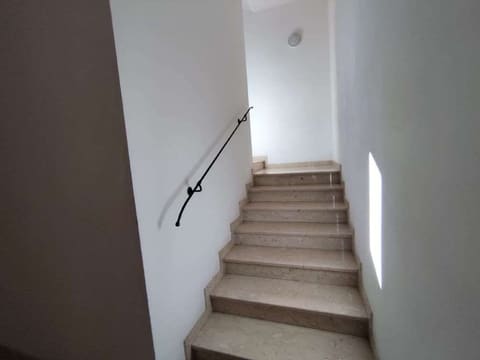 Photo of the lot 5