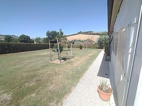 Photo of the lot 1