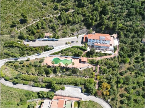 Photo of the lot 1