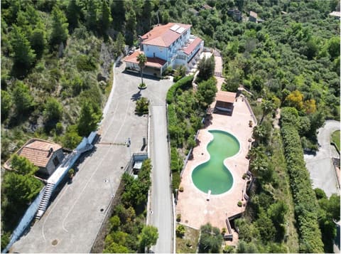 Photo of the lot 2