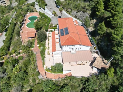 Photo of the lot 3
