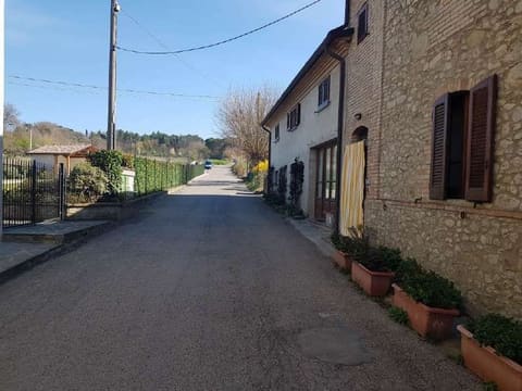 Photo of the lot 2
