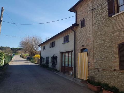 Photo of the lot 3