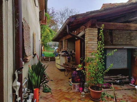 Photo of the lot 8