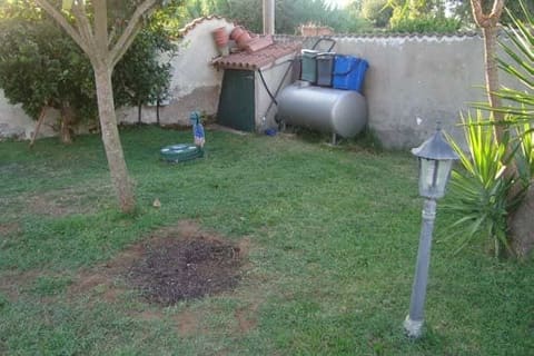 Photo of the lot 4