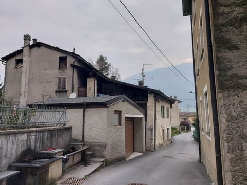Photo of the lot 3
