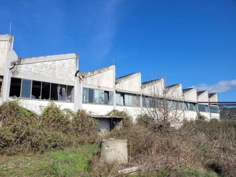 Photo: Immobile commerciale in Pisticci (MT)