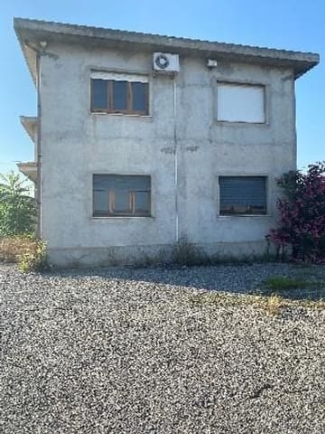 Photo of the lot 3