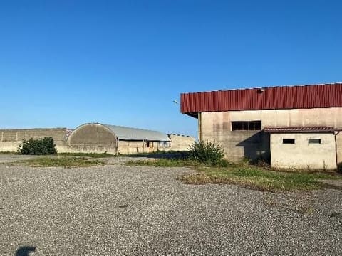Photo of the lot 8