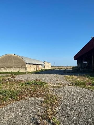 Photo of the lot 9