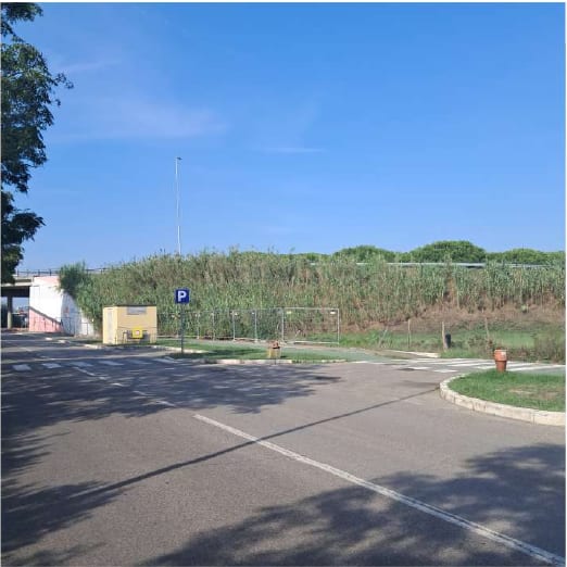Photo of the lot: Altra categoria in Cesenatico