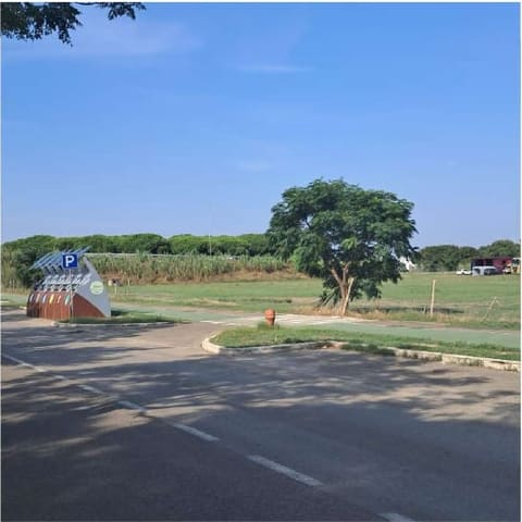 Photo of the lot 2
