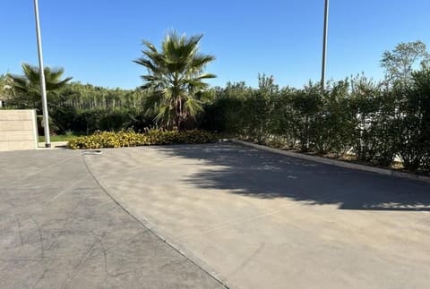 Photo of the lot 5