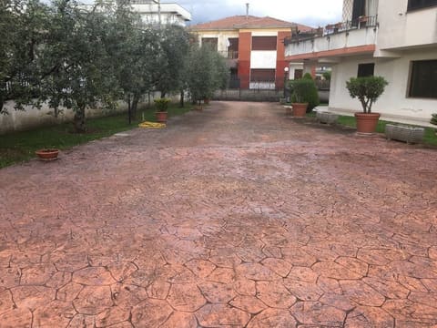 Photo of the lot 1