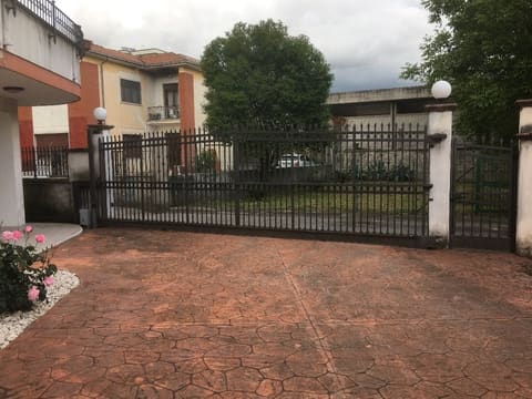 Photo of the lot 3