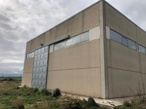 Photo: Immobile industriale in Lucera (FG)