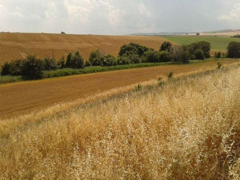 Photo: Altra categoria in Serracapriola (FG)