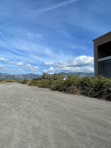 Photo of the lot 1