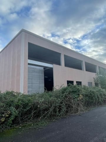 Photo of the lot 3