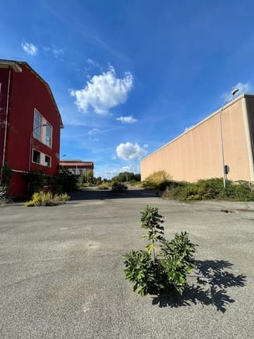 Photo of the lot 5