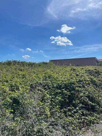 Photo of the lot 6