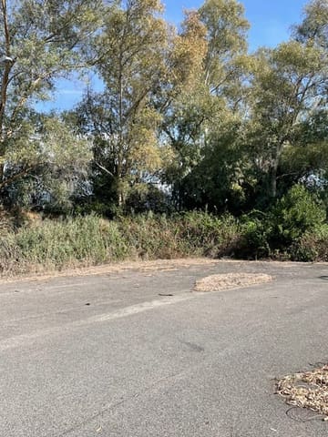Photo of the lot 7