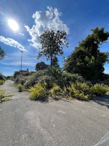 Photo of the lot 8