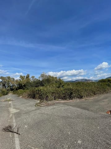 Photo of the lot 9
