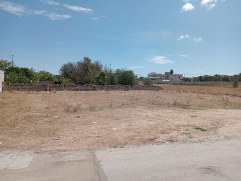 Photo: Altra categoria in Ortelle (LE)