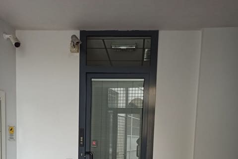 Photo of the lot 3