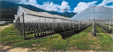 Foto: Altra categoria a Borgo Valsugana (TN)