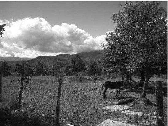 Foto del lotto: Altra categoria a Rocca Santa Maria