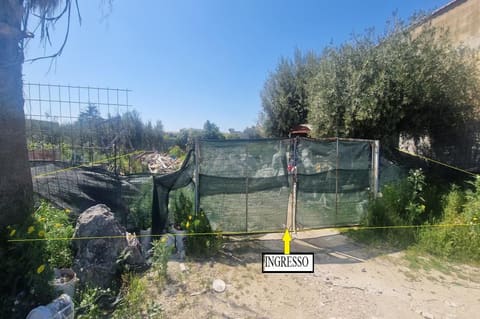 Photo: Altra categoria in Trapani (TP)