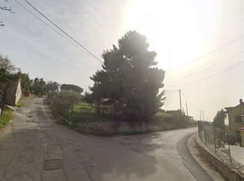 Photo of the lot 2