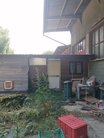 Photo of the lot 4