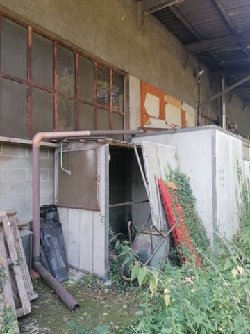 Photo of the lot 5