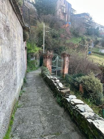 Photo of the lot 4