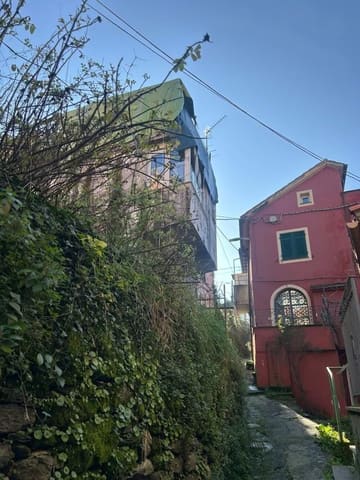 Photo of the lot 6