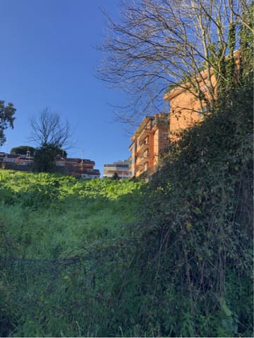 Photo of the lot 2
