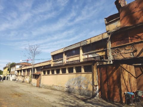 Photo of the lot 4
