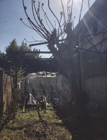 Photo of the lot 6