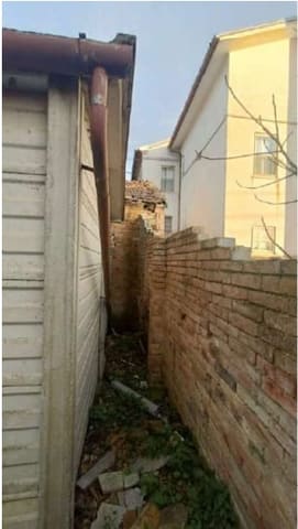 Photo of the lot 3