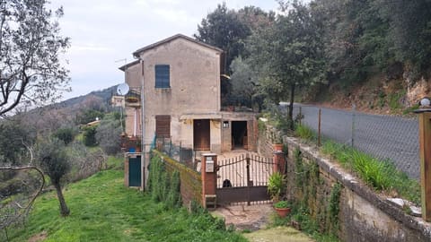 Foto del lotto 2