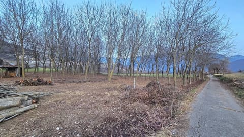 Foto: Altra categoria a Brentonico (TN)
