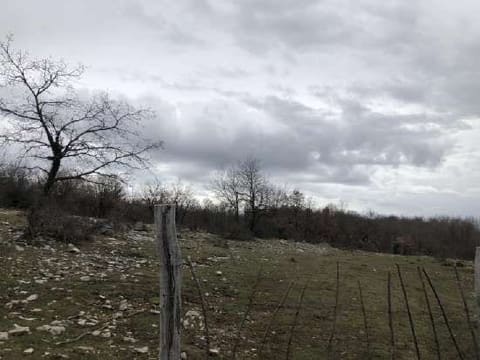 Photo: Altra categoria in San Marco in Lamis (FG)