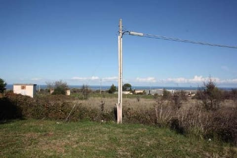 Photo: Altra categoria in San Nicandro Garganico (FG)