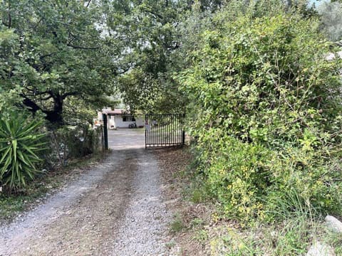 Photo of the lot 2