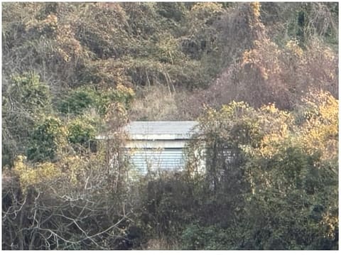 Photo of the lot 2